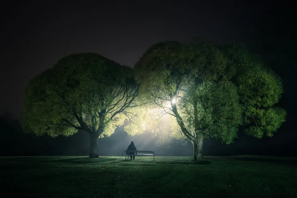 Night At The Park
