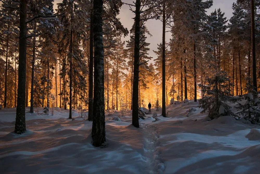 Mikko Lagerstedt - Between Two Worlds - 2013 - Nokia, Finland