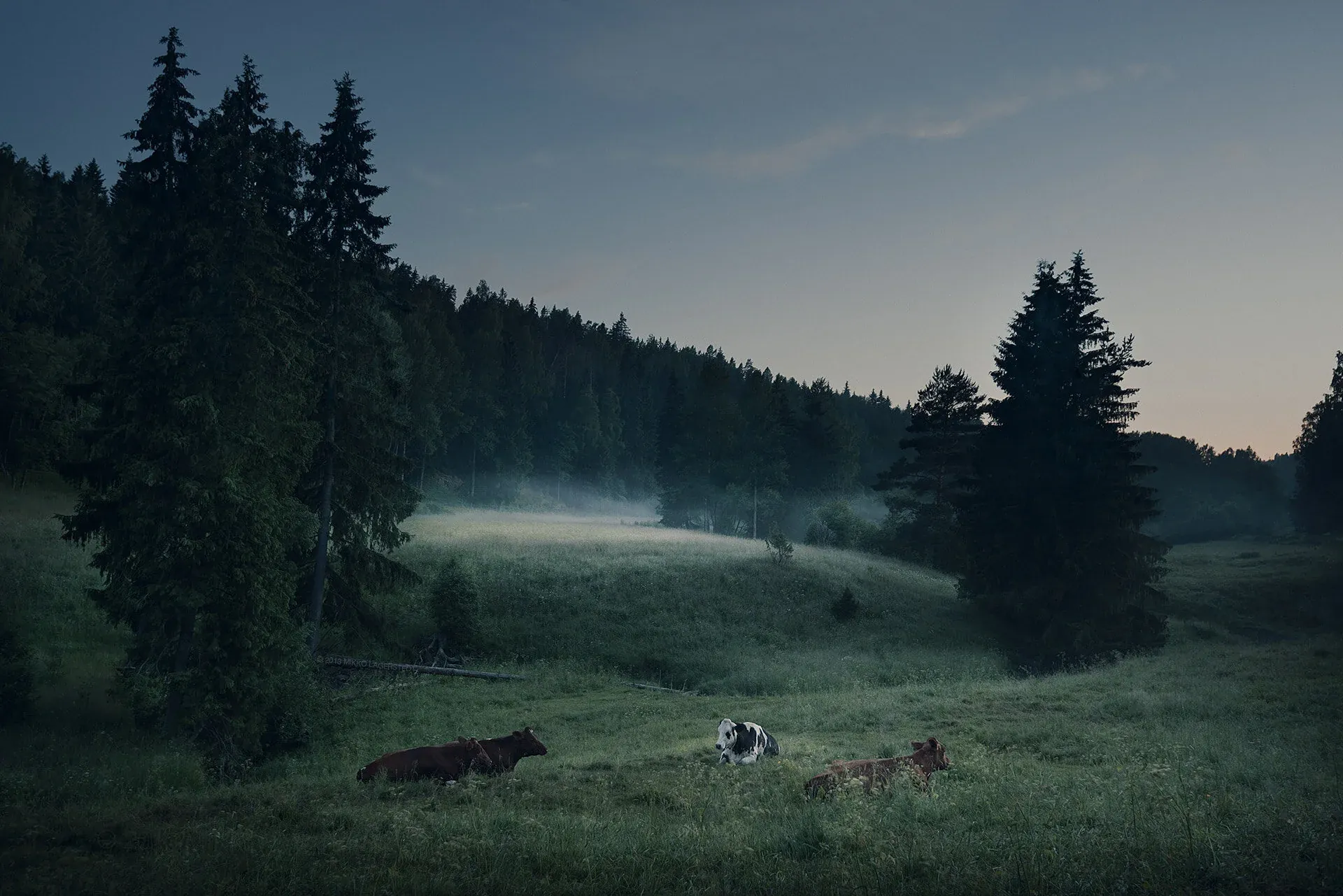 Summer Night in Finland