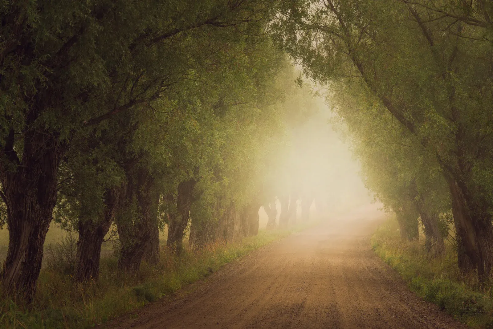 Path