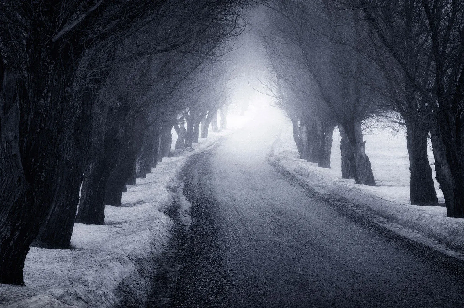 The Way
