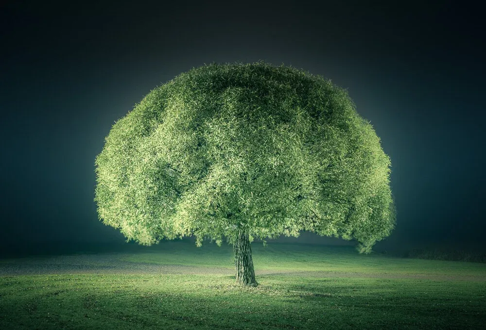 Alone & Forgotten