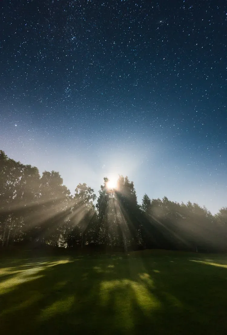 Moonlit