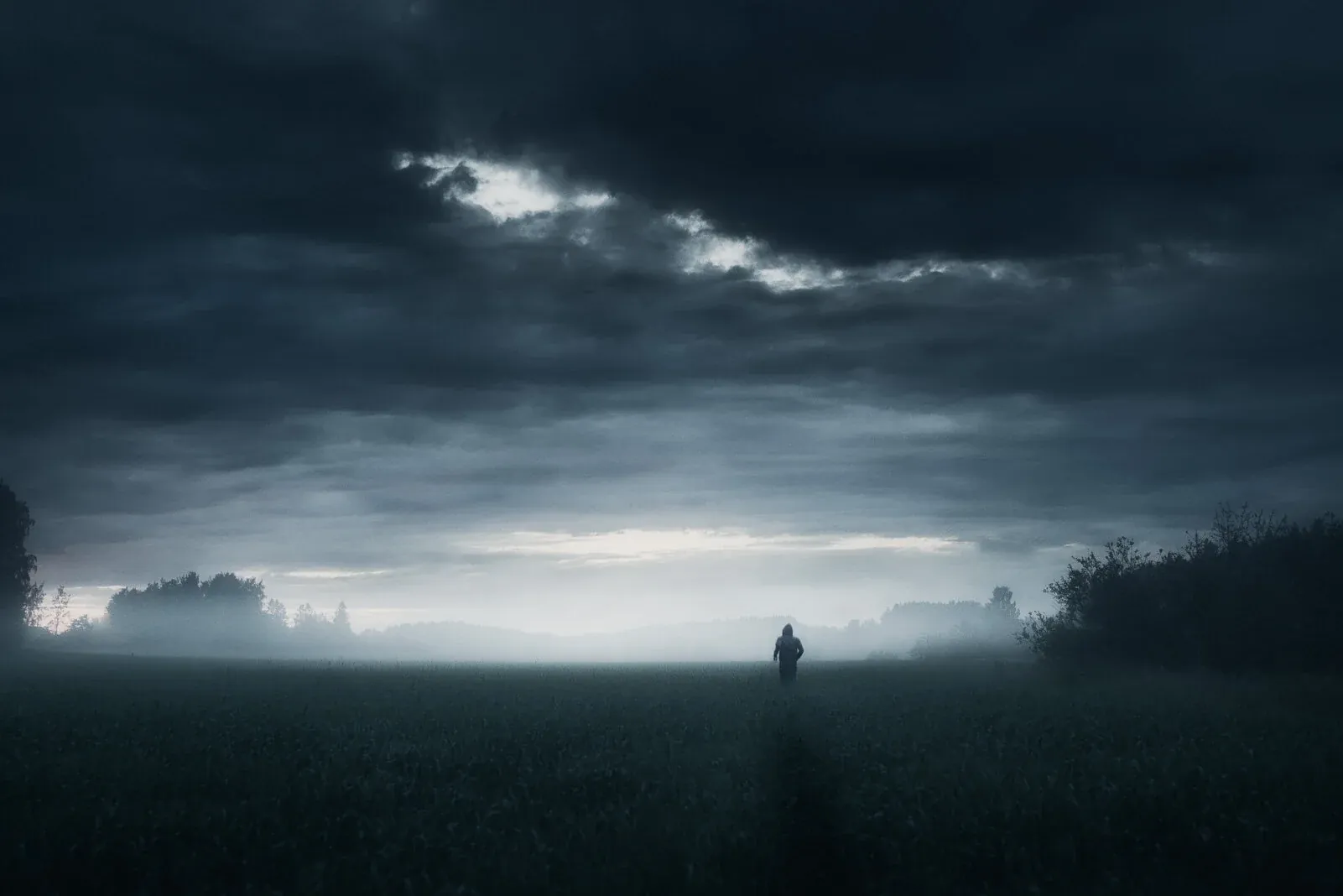 In the Silence