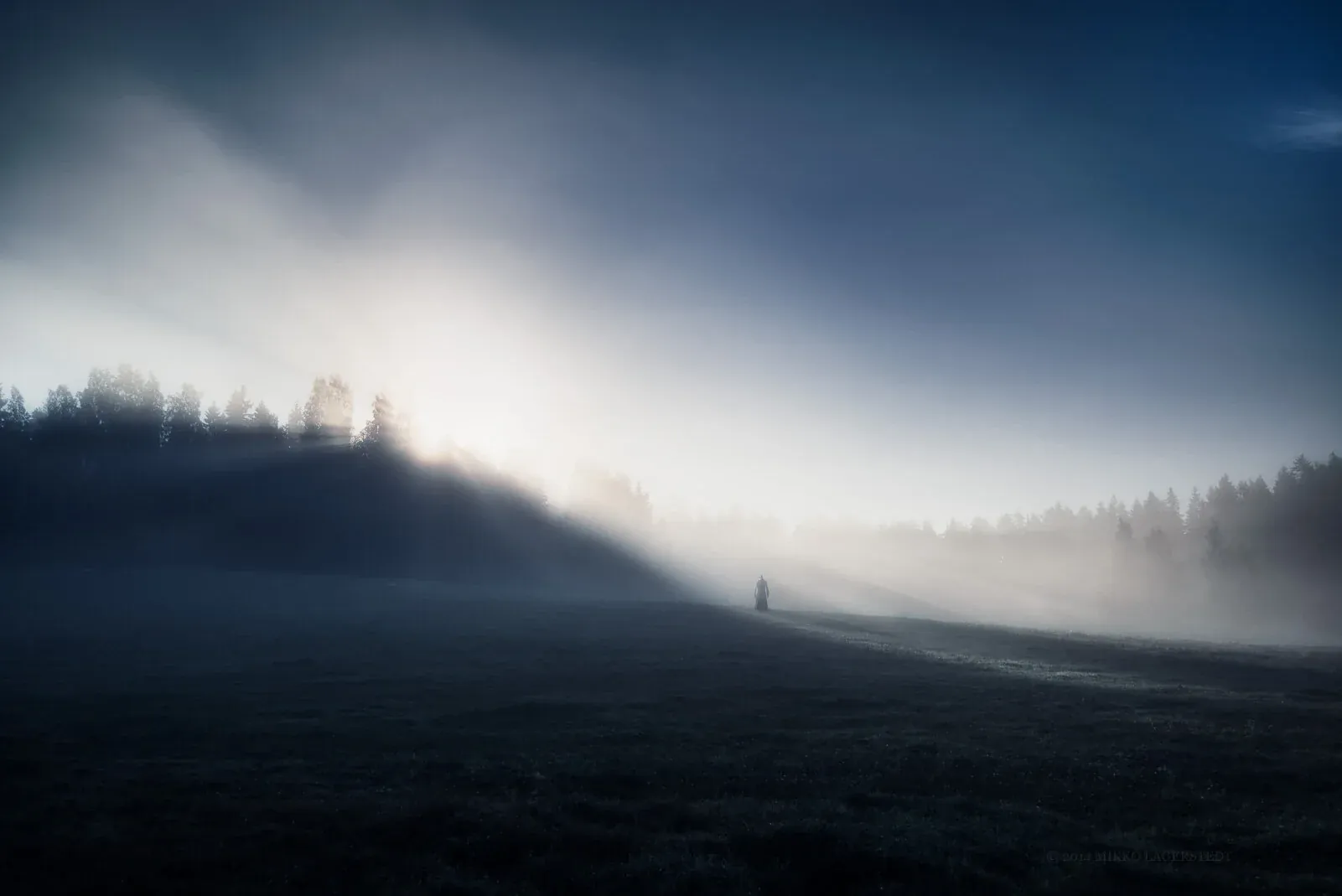 Alone In The Light