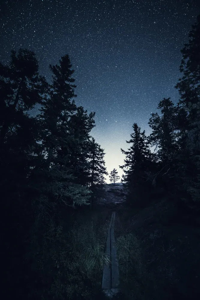 Koli at Night - Nikon D810 & Nikkor 14–24 mm f/2.8 - ISO 8000, 15 mm, f/2.8, 30 sec.