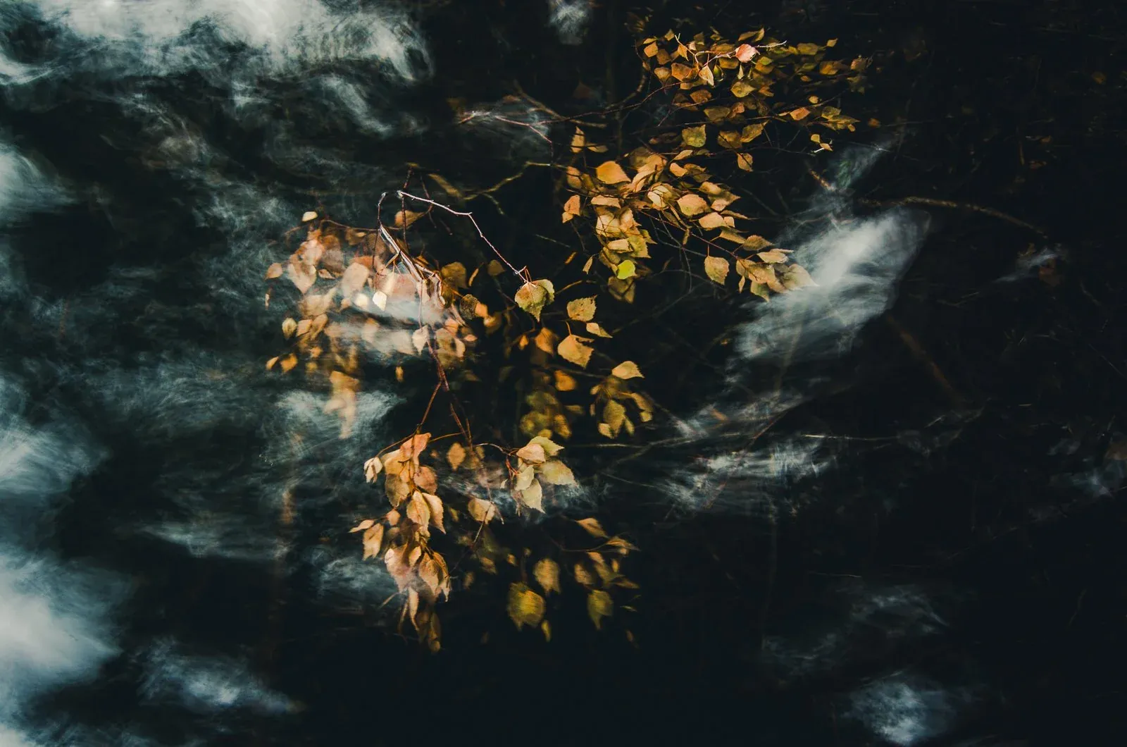 Mikko Lagerstedt – Beneath The Surface, 2023Nikon Z8, Nikkor Z 14-24 mm f/2.8 S & RRS TripodISO 100, 24 mm, f/8.0, 1 sec. – EPIC Preset Forest: More Light + Color Grading: Somebody
