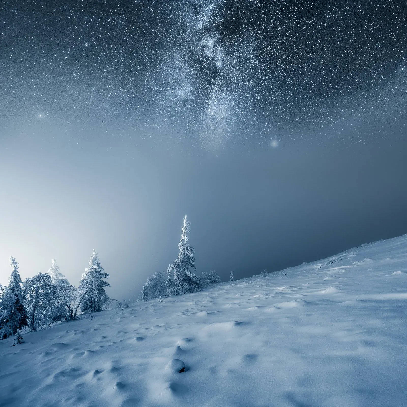 Cold Night
