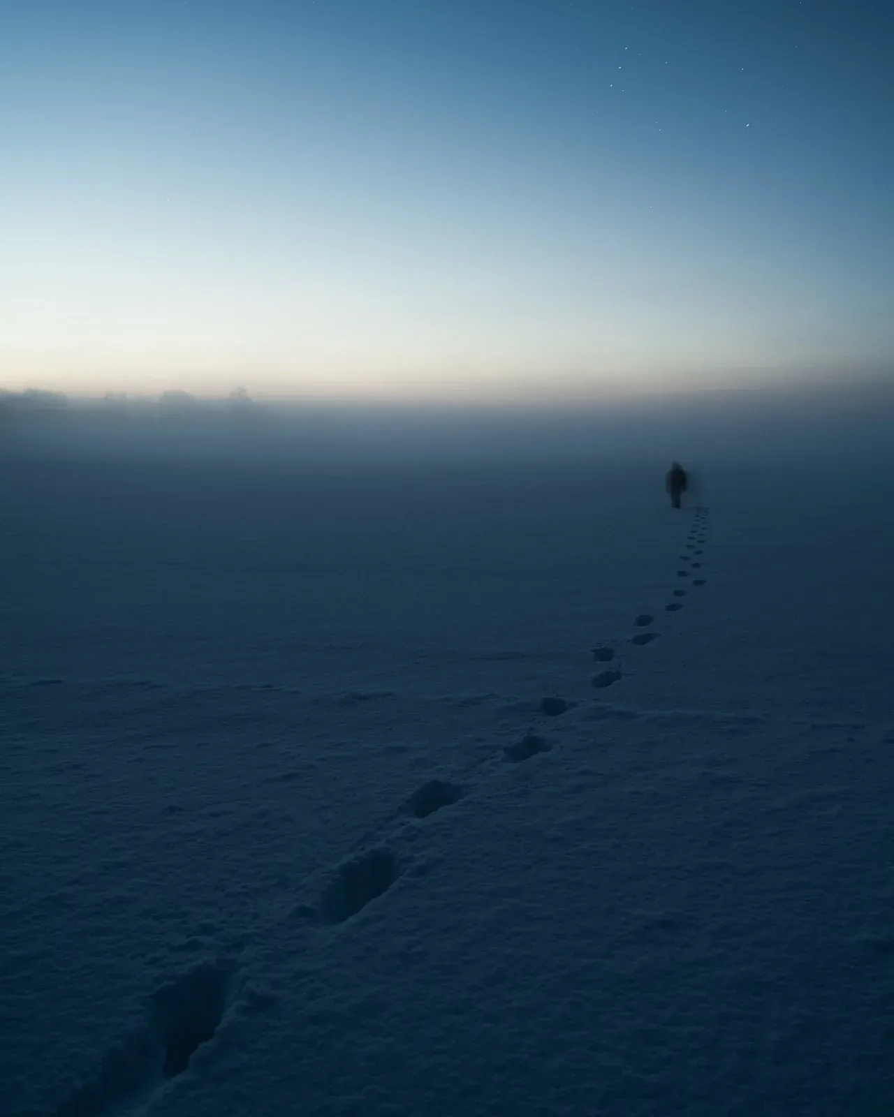 The Art Of Capturing Winter Fog Photography