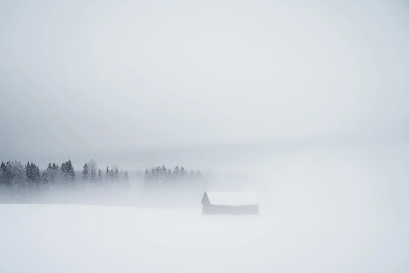 Mikko Lagerstedt – Disappearance – Tuusula Finland 2022
