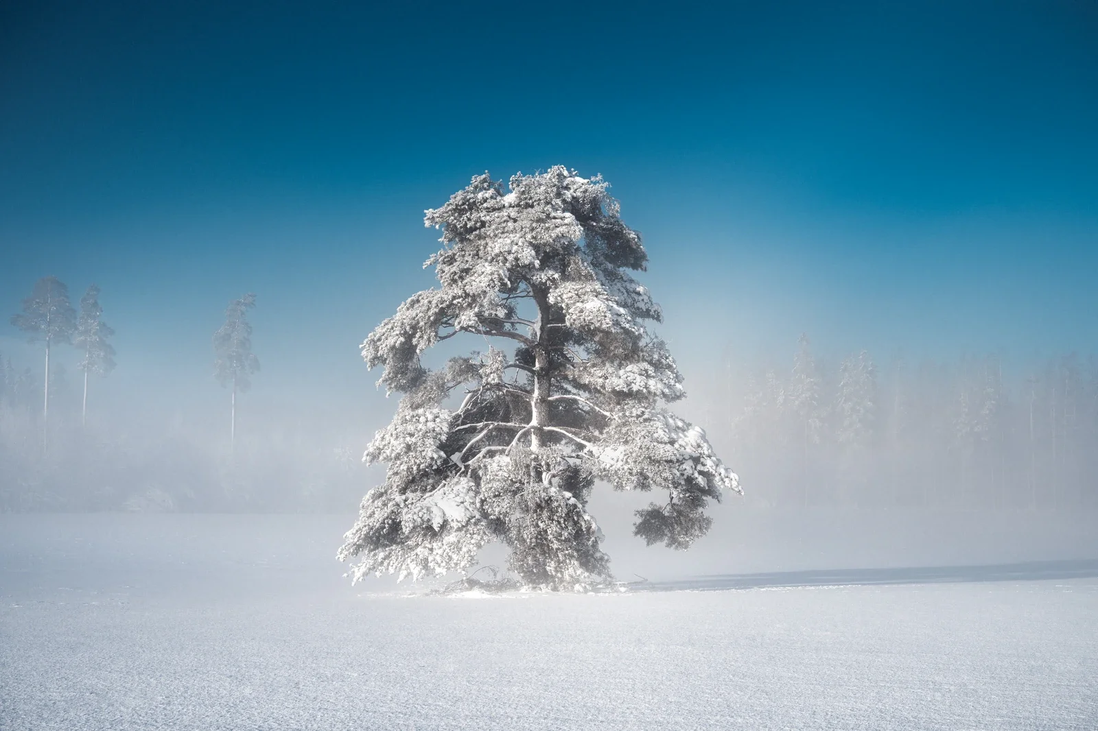 Subtle editing preserves the mystery. Avoid the Dehaze tool.