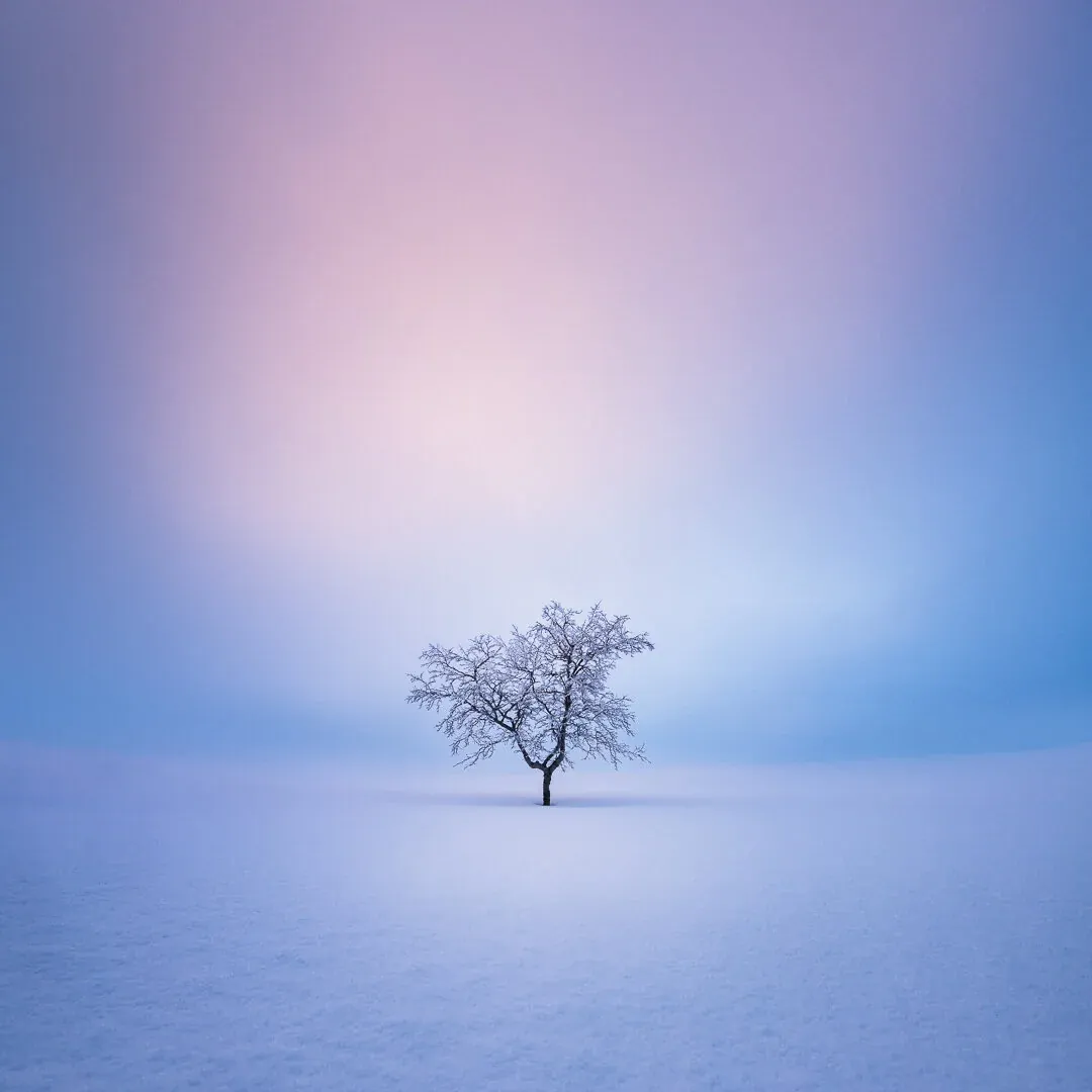 How to photograph minimalist landscapes?