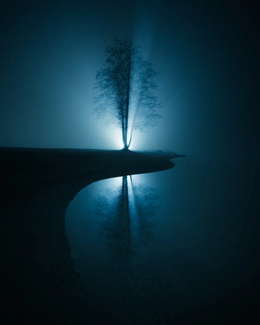 Mikko Lagerstedt – Reflected – 2019