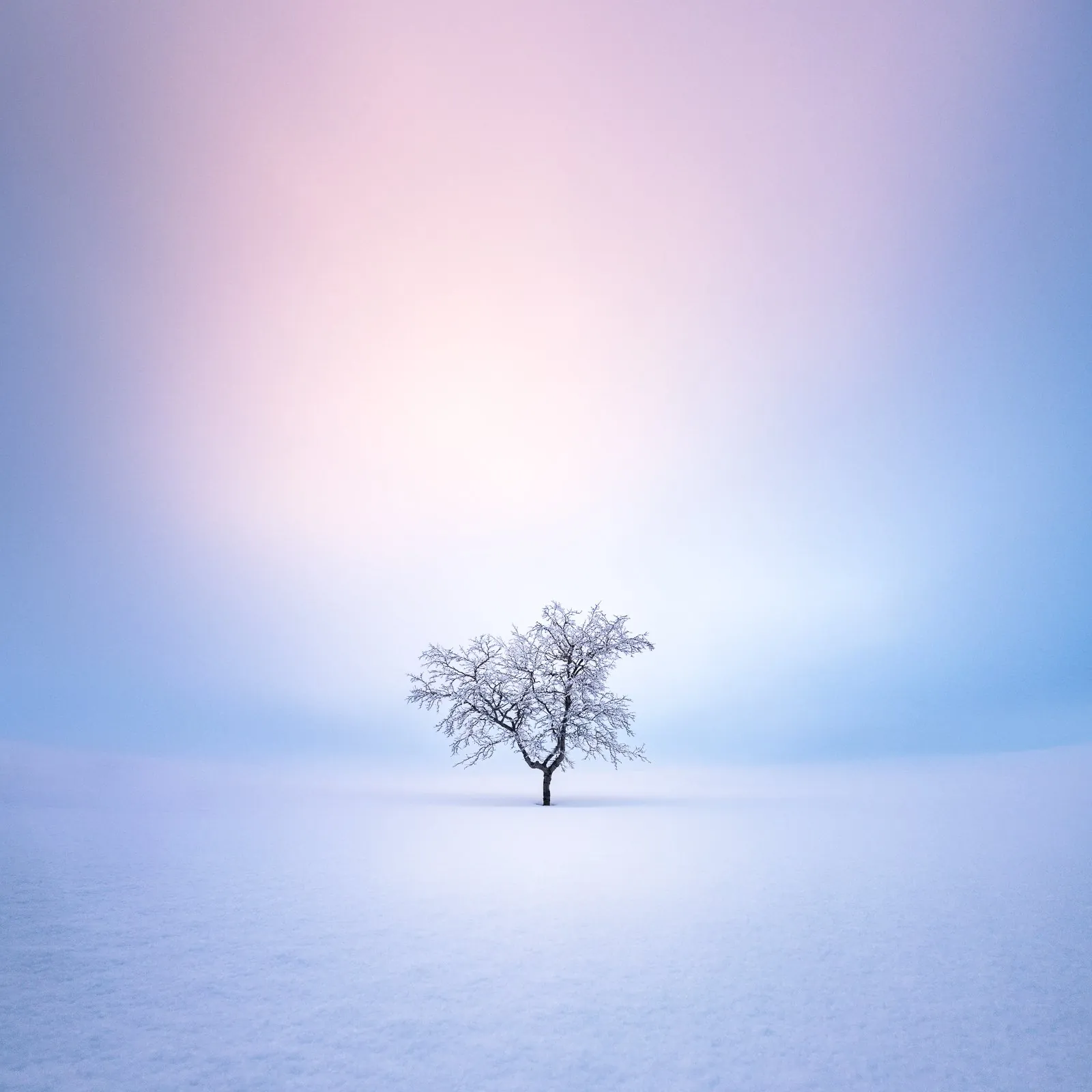 Minimal landscape with restrained color