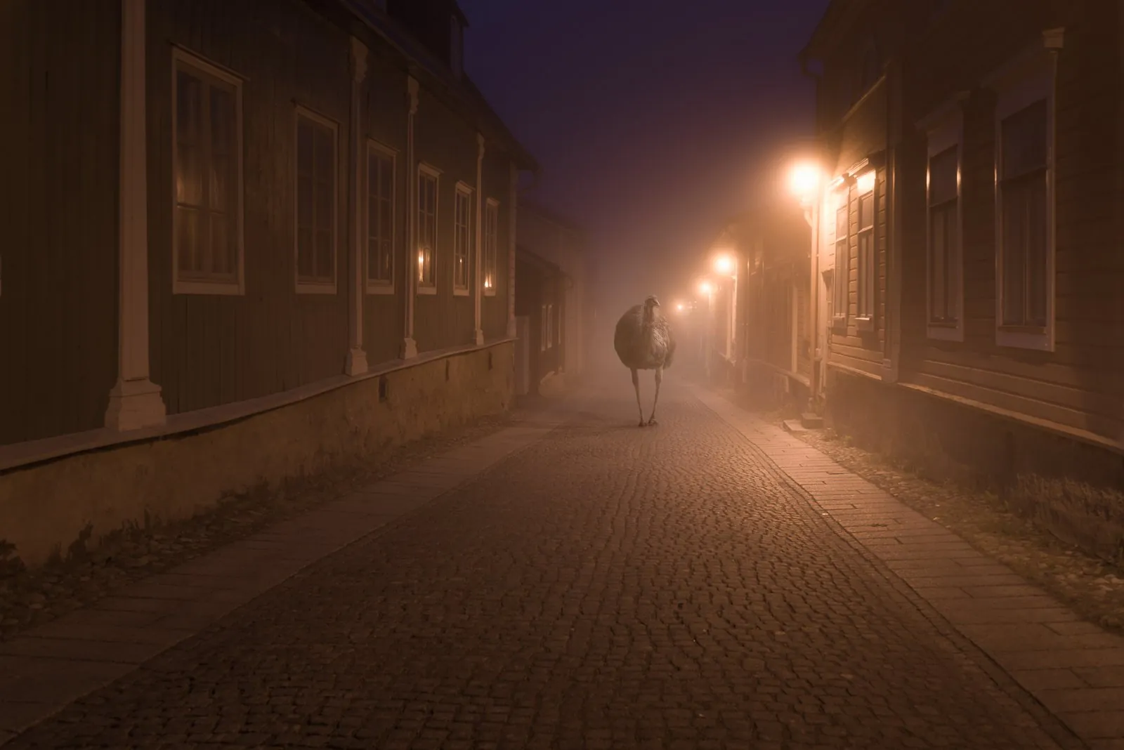 Night Animals: Emu, a dreamlike composite landscape from the Dream collection by Mikko Lagerstedt.