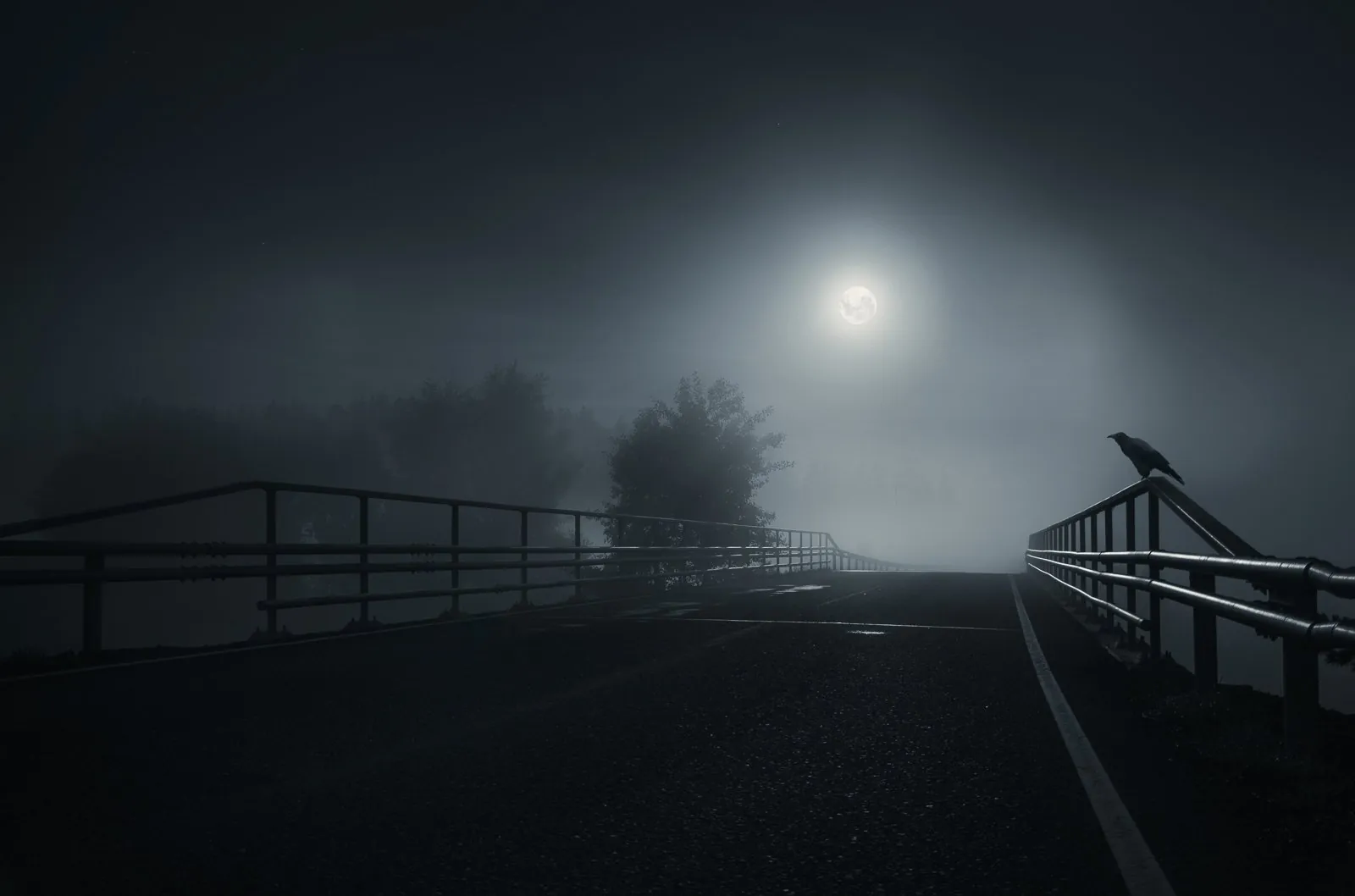 Crow, a dreamlike composite landscape from the Dream collection by Mikko Lagerstedt.