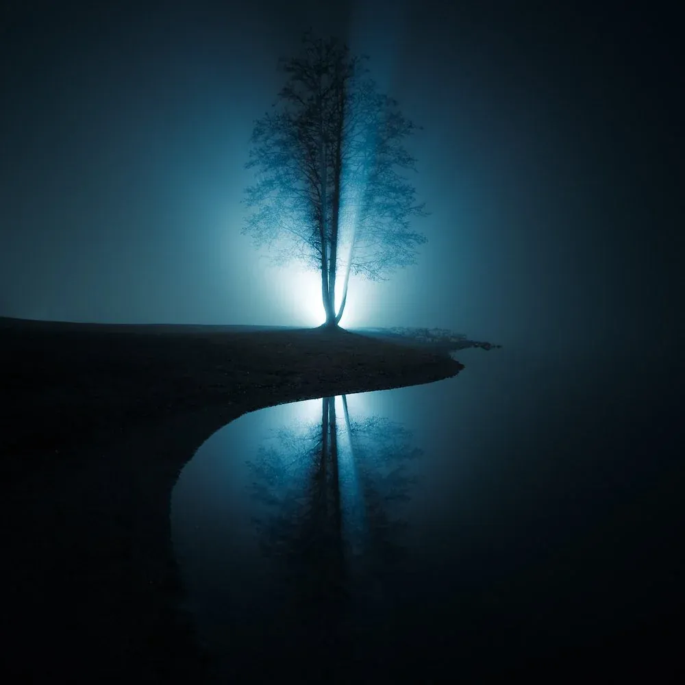 Tree at night scene after EPIC edit