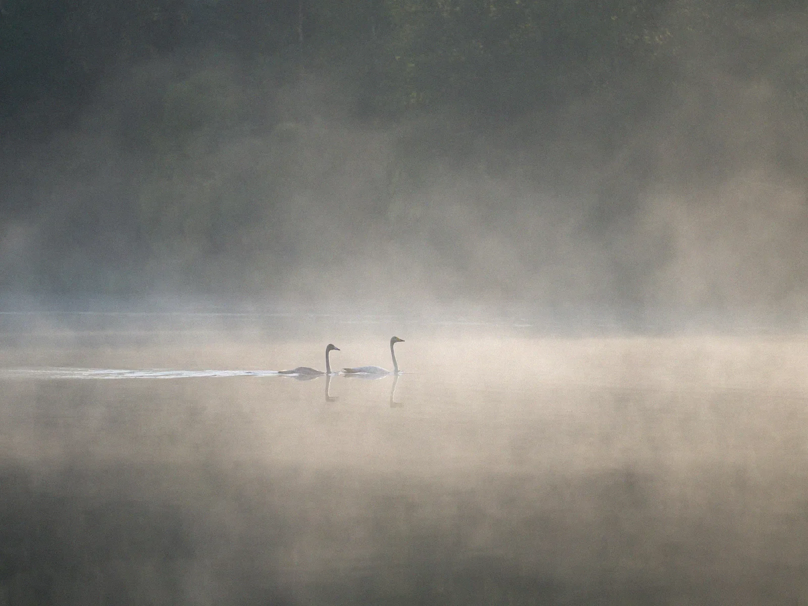 Us, a minimal fine art landscape photograph from the Harmonia collection by Mikko Lagerstedt.