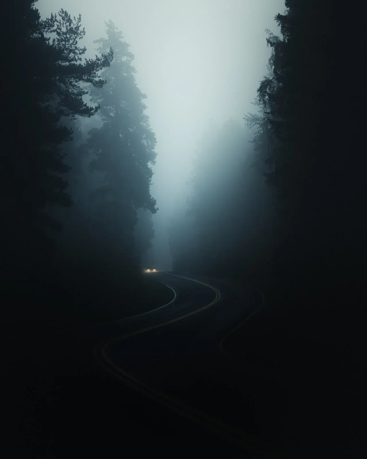 Journey, a quiet nature photograph from the In The Solitude collection by Mikko Lagerstedt.