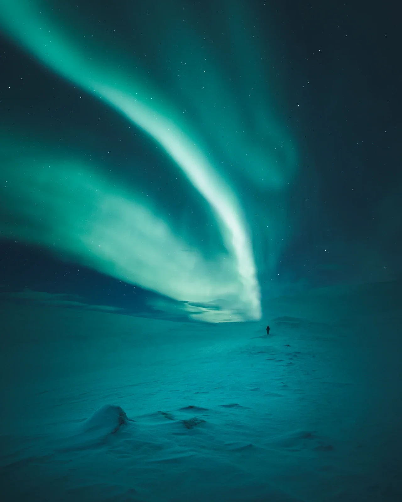 Borealis aurora-editointijärjestelmä