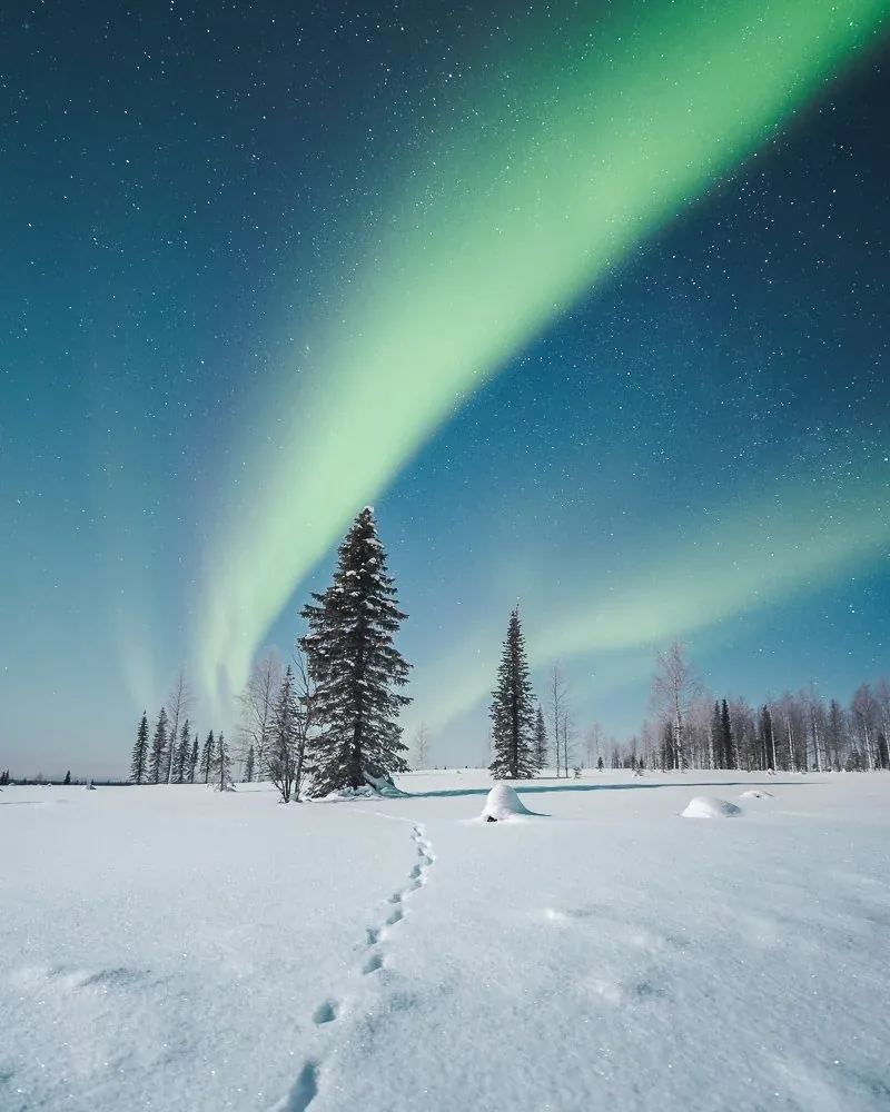 Northern lights landscape after editing with Borealis presets