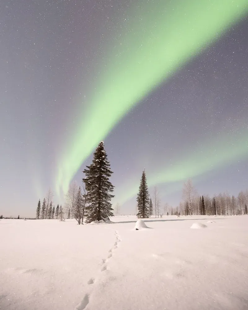 Northern lights landscape before Borealis editing