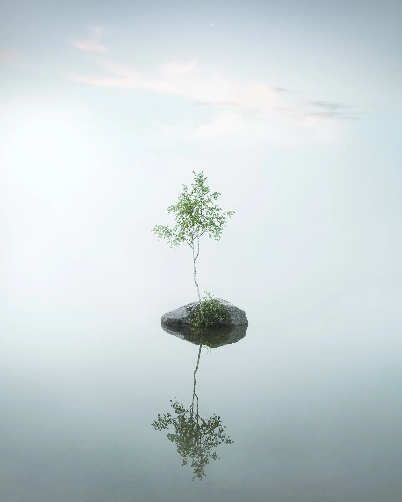 Fragile, an atmospheric landscape photograph from the Recent collection by Mikko Lagerstedt.