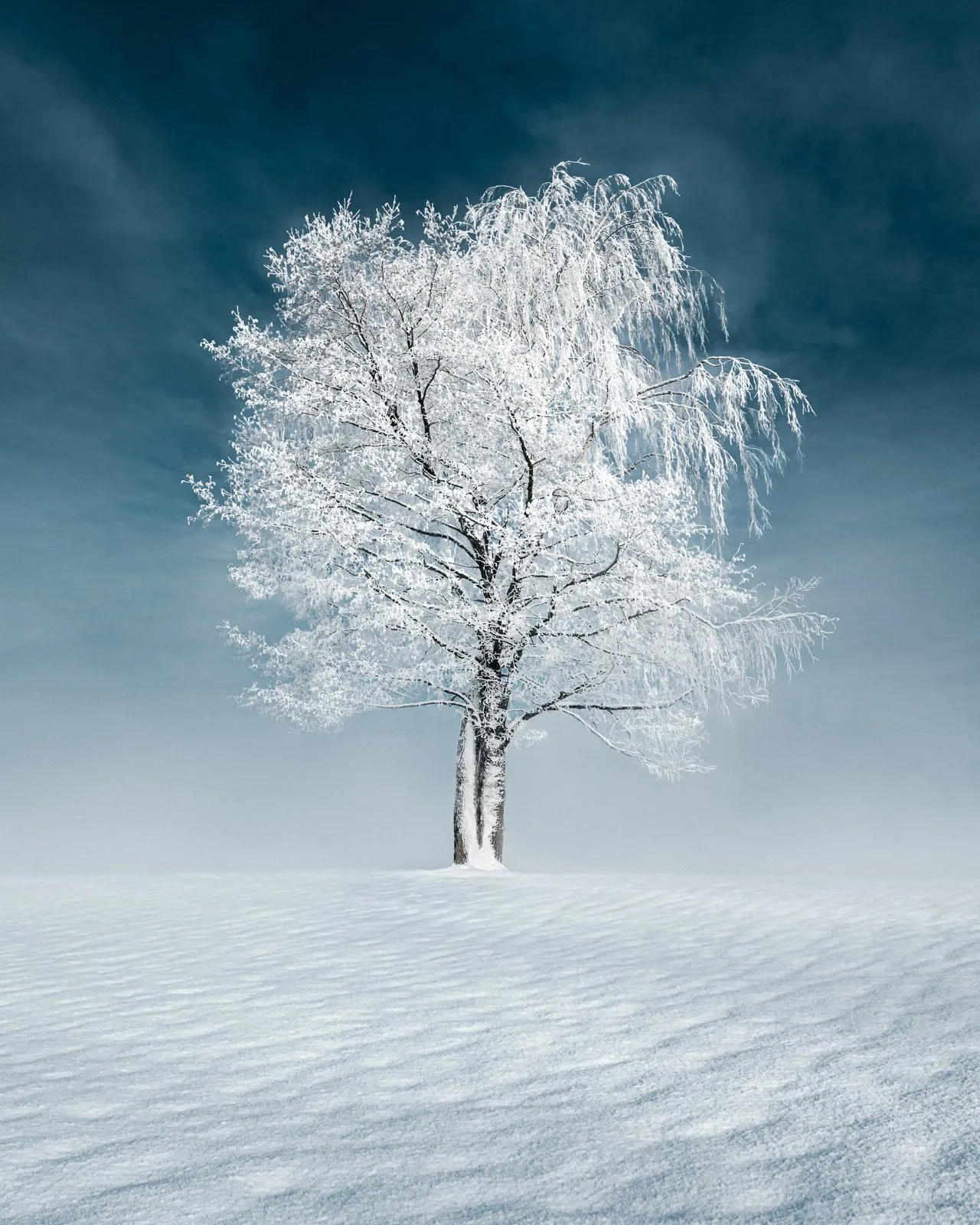 Minimal winter shoreline fading into mist from the Recent collection by Mikko Lagerstedt