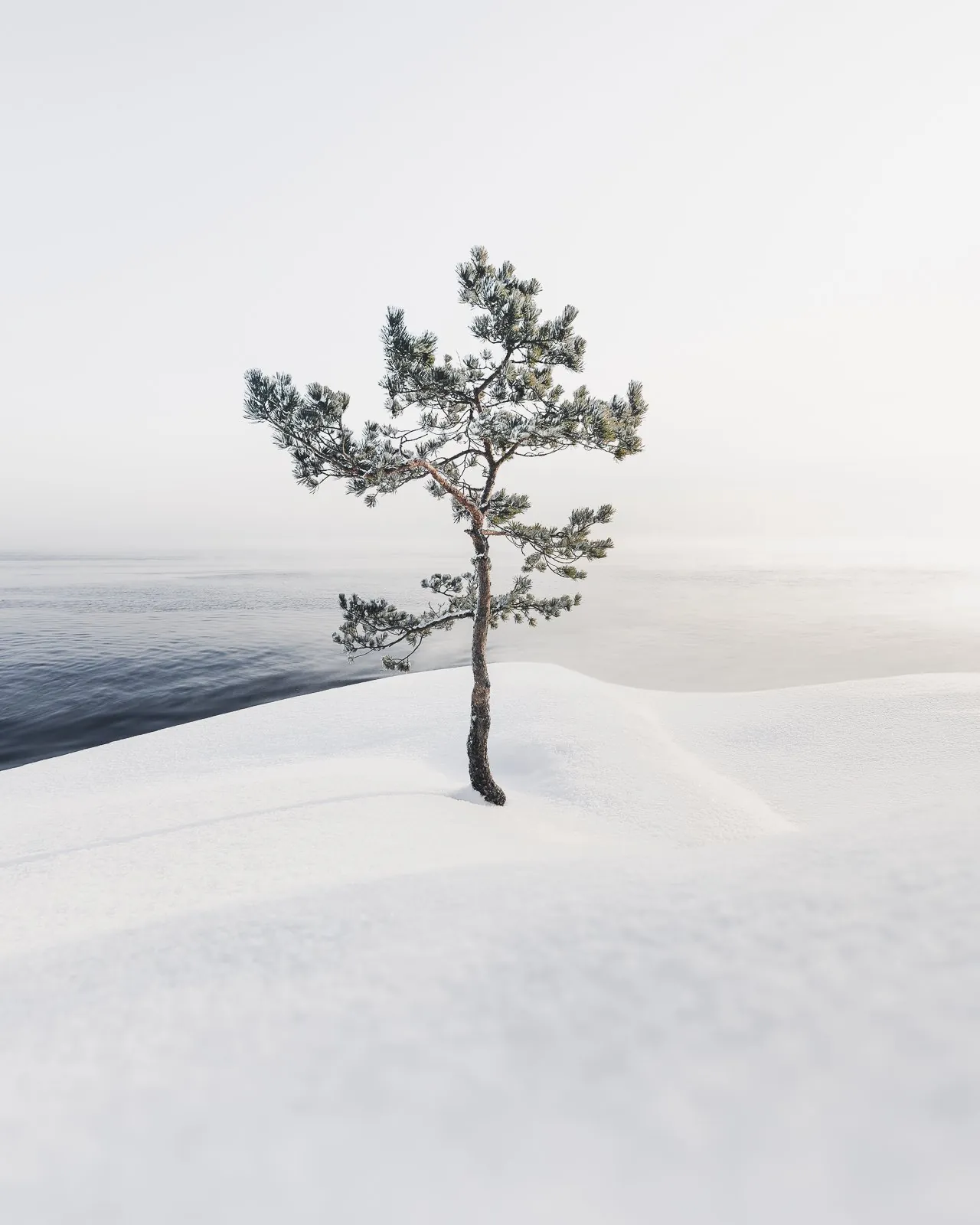 Resilience, a minimal winter landscape photograph from the Resilience collection by Mikko Lagerstedt.