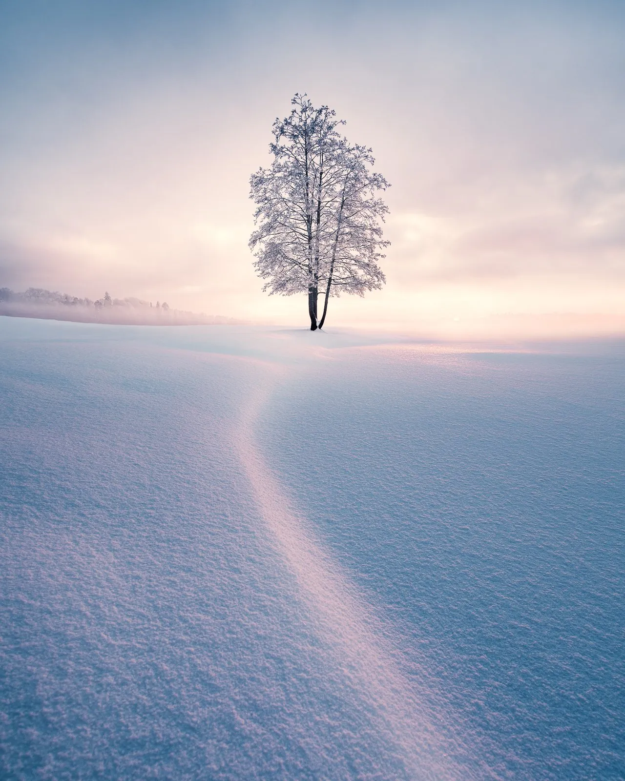 Winter Solitude, a minimal winter landscape photograph from the Resilience collection by Mikko Lagerstedt.