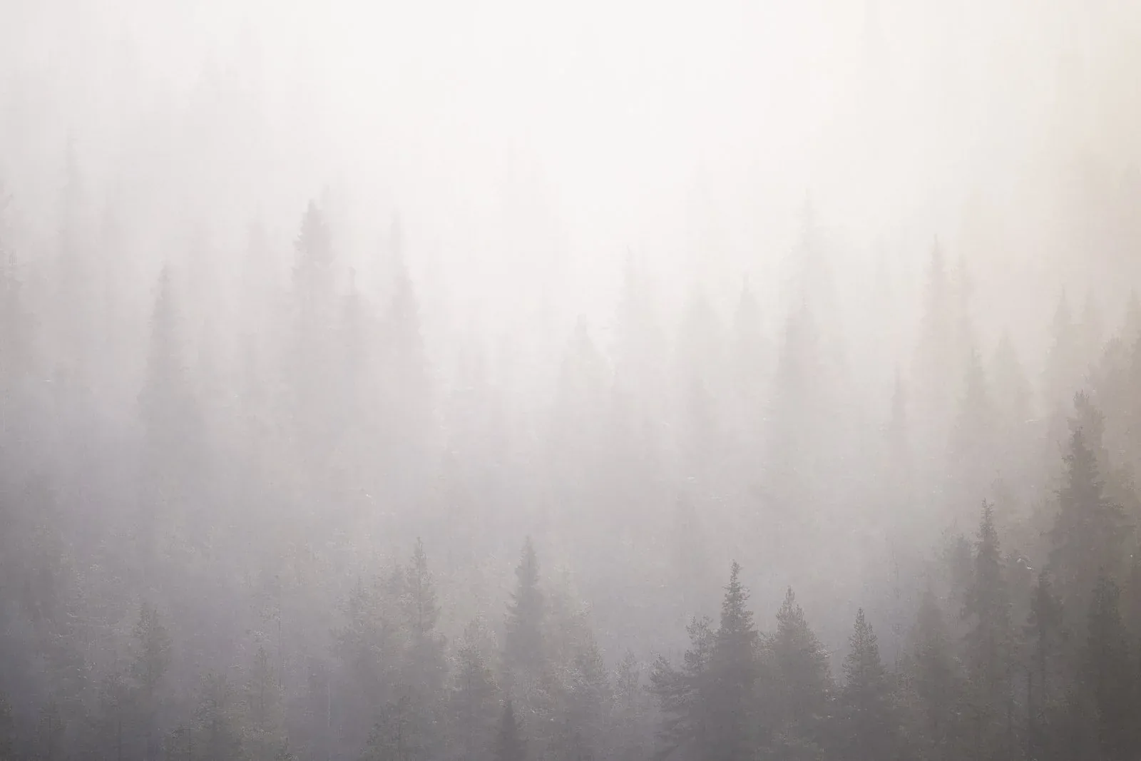 Frozen Lapland landscape created for Nikon Europe's The Human Prompt campaign