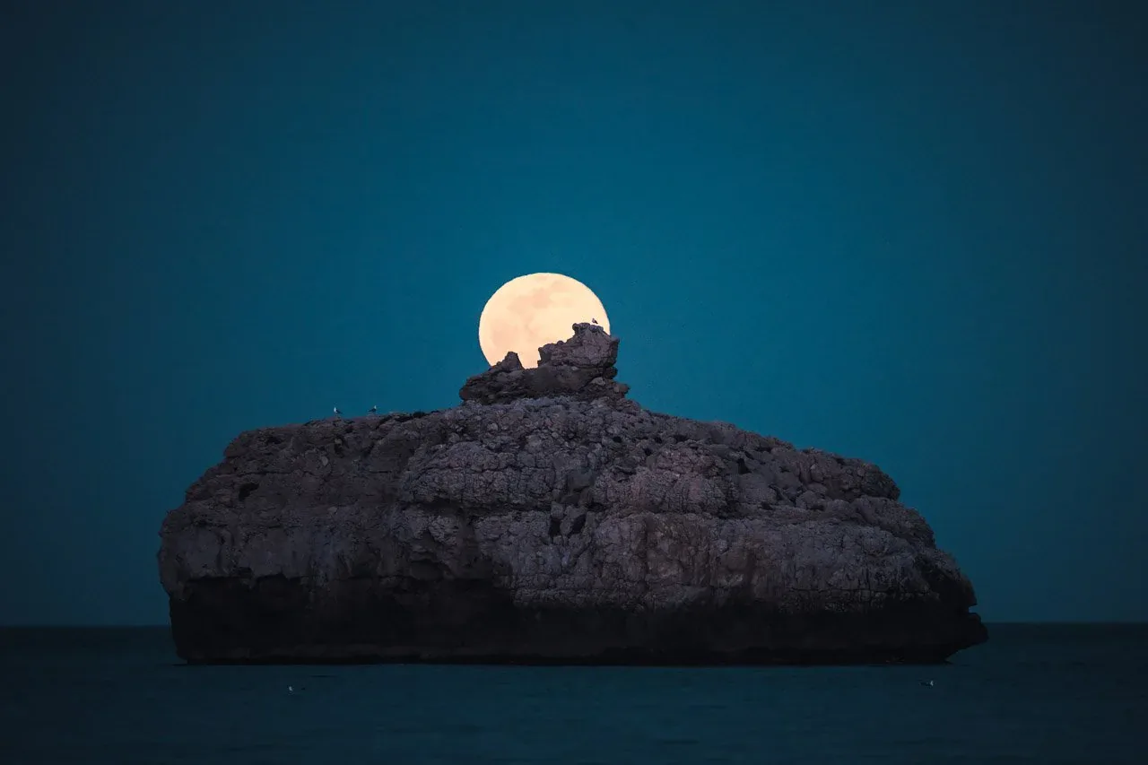Nikon Z8 launch image photographed by the coast at dusk