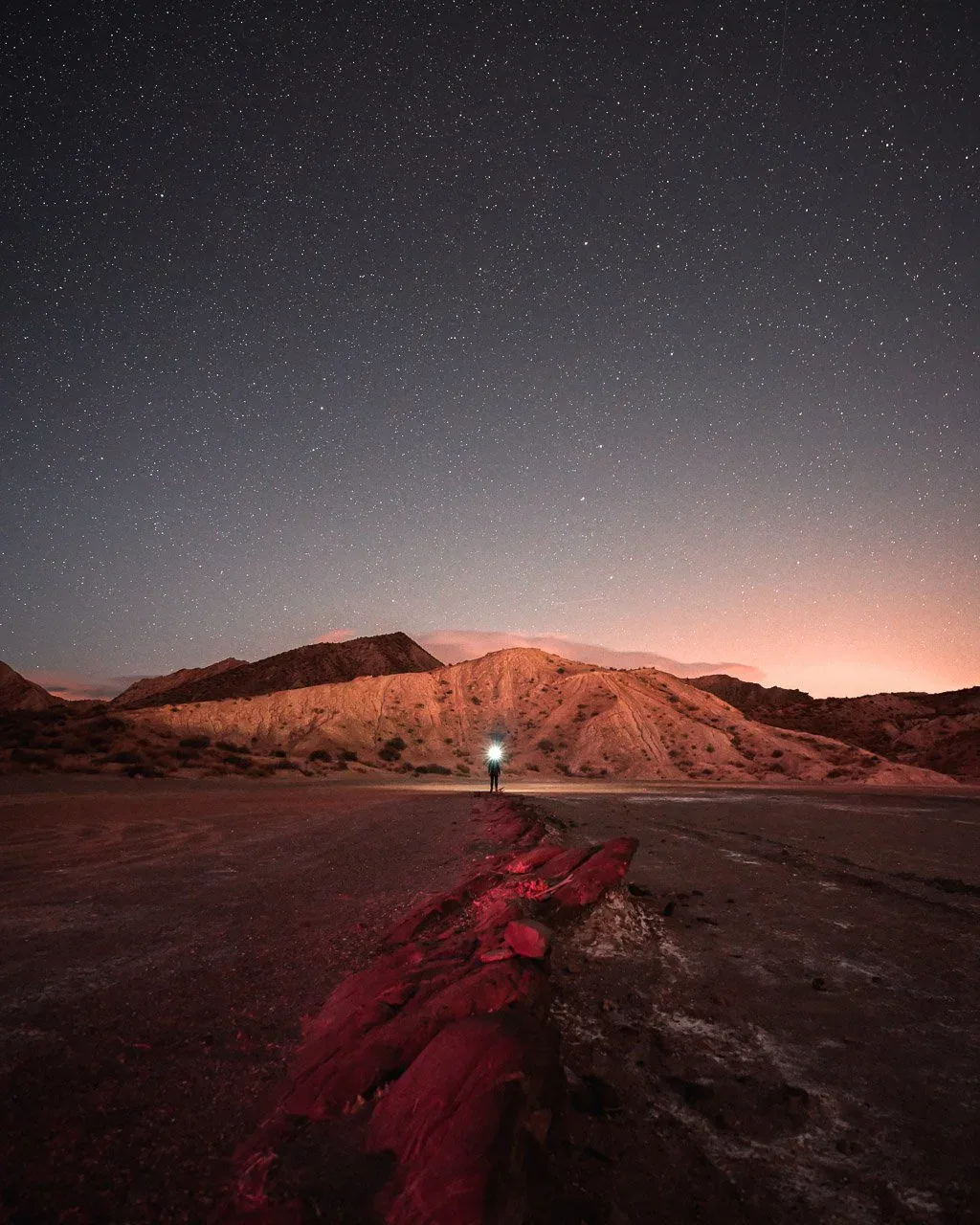 Nikon Z8 launch image photographed in demanding low-light conditions