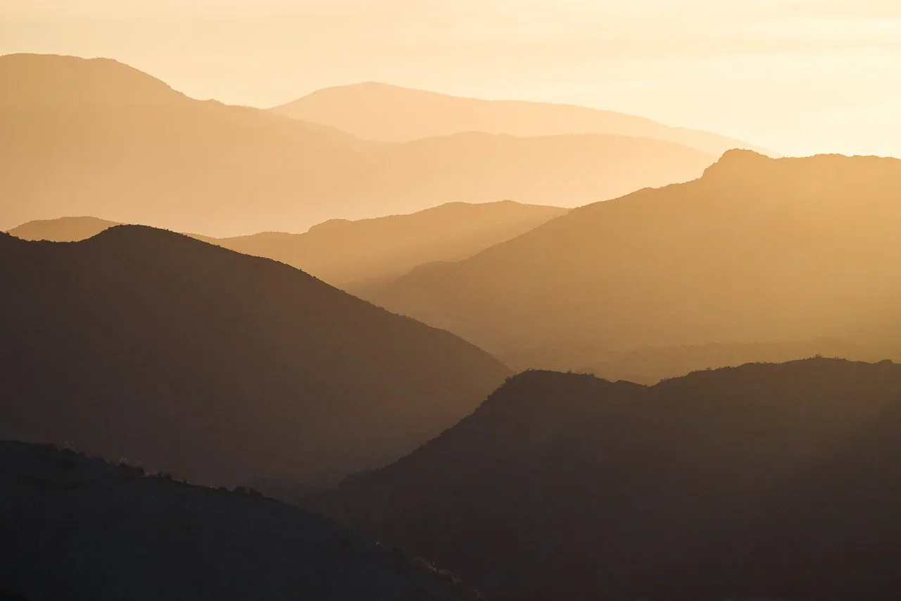 Nikon Z8 launch image with atmospheric contrast and moody light