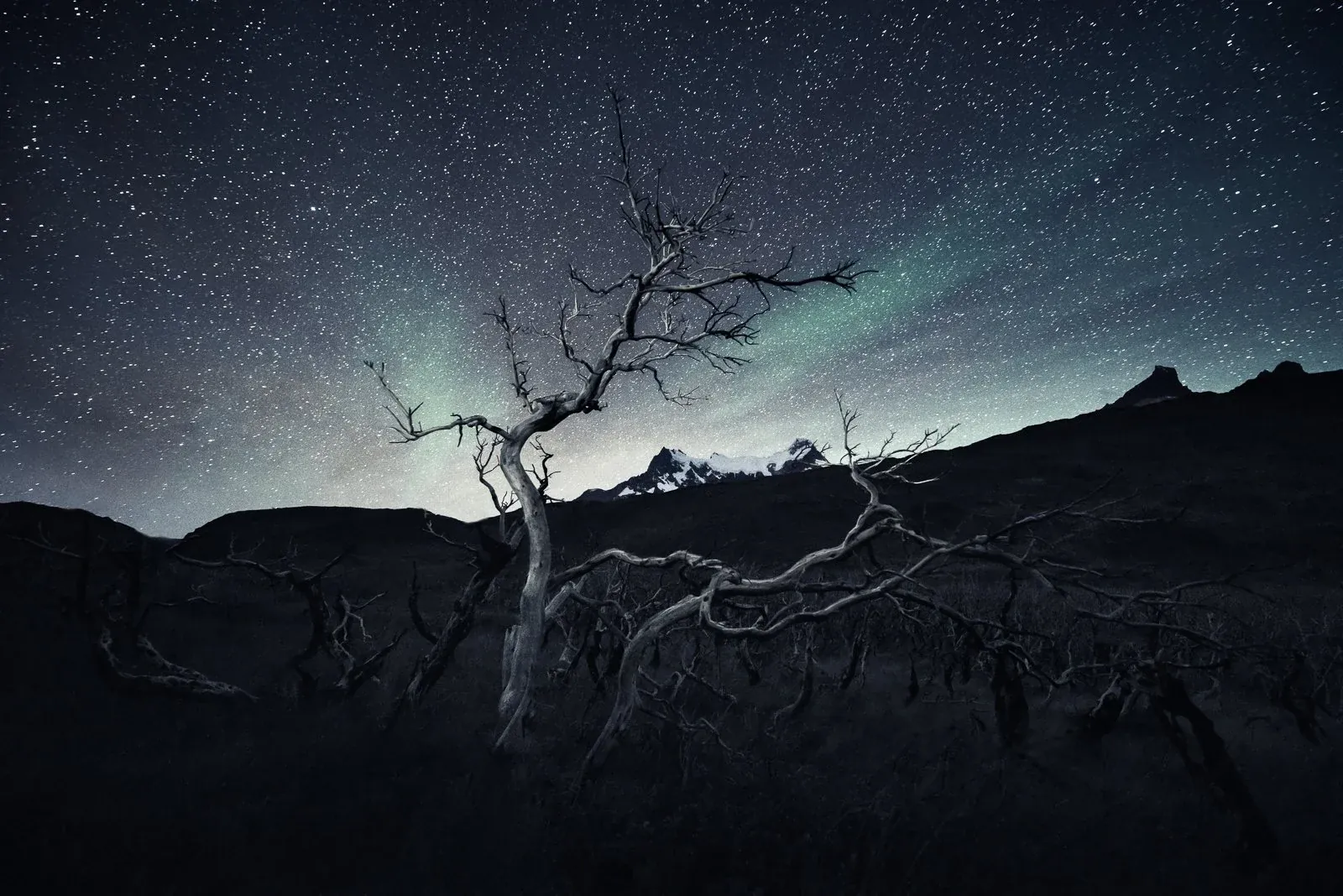 Burned, an atmospheric landscape photograph from the Selected Work collection by Mikko Lagerstedt.