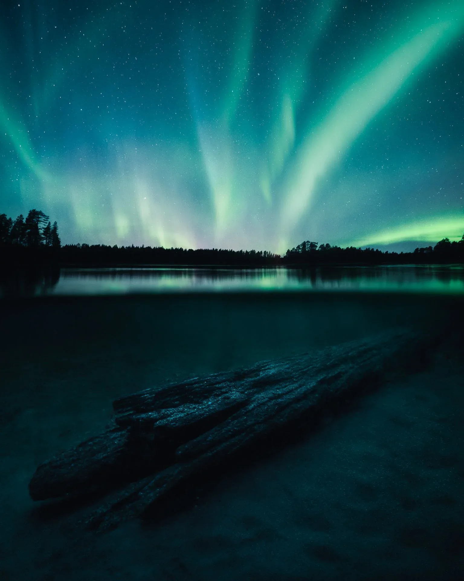 Foggy forest photographed for Nikon Europe's The Human Prompt campaign