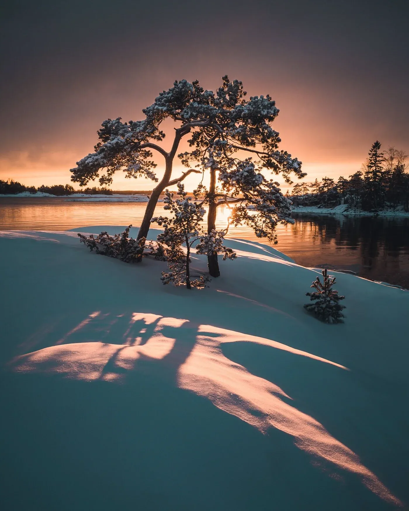 Winter fine art photograph with snow-covered trees and warm reflected sunset light over water.